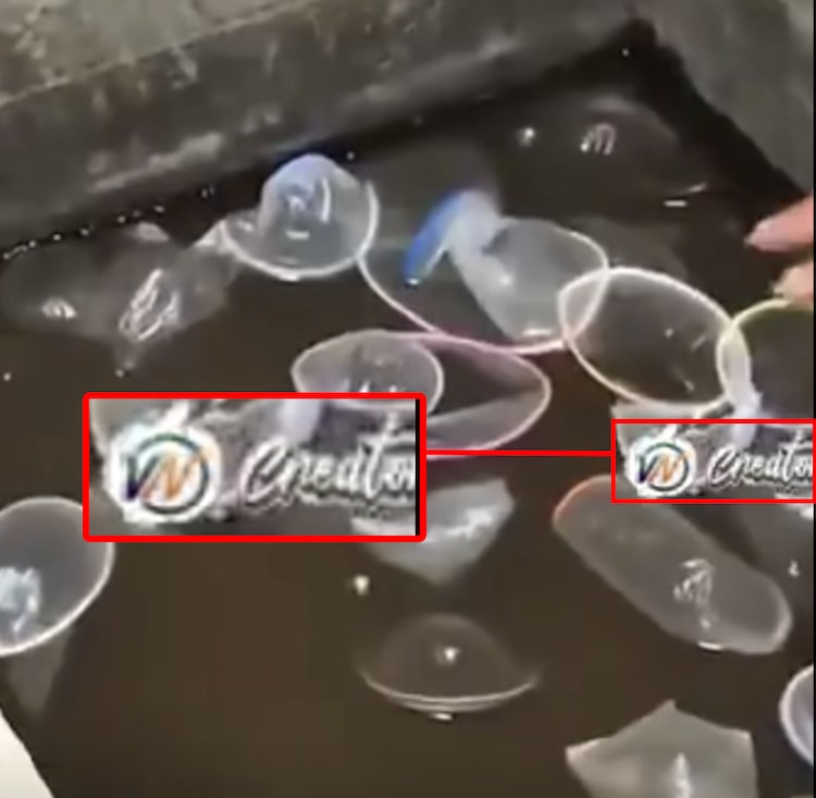 Delhi girls PG viral video